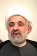 معاون دبیرکل حزب الله: برنامه های غرب و اسرائیل با صبر و قدرت مقاومت به بن بست رسیده است